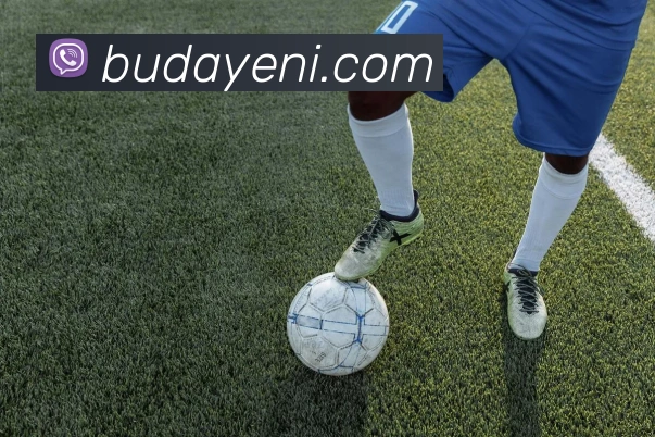 华体会押注服务体系